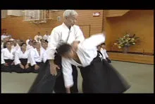 10th International Aikido Federation (IAF) Congress 2 DVD Set