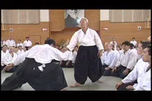 10th International Aikido Federation (IAF) Congress 2 DVD Set