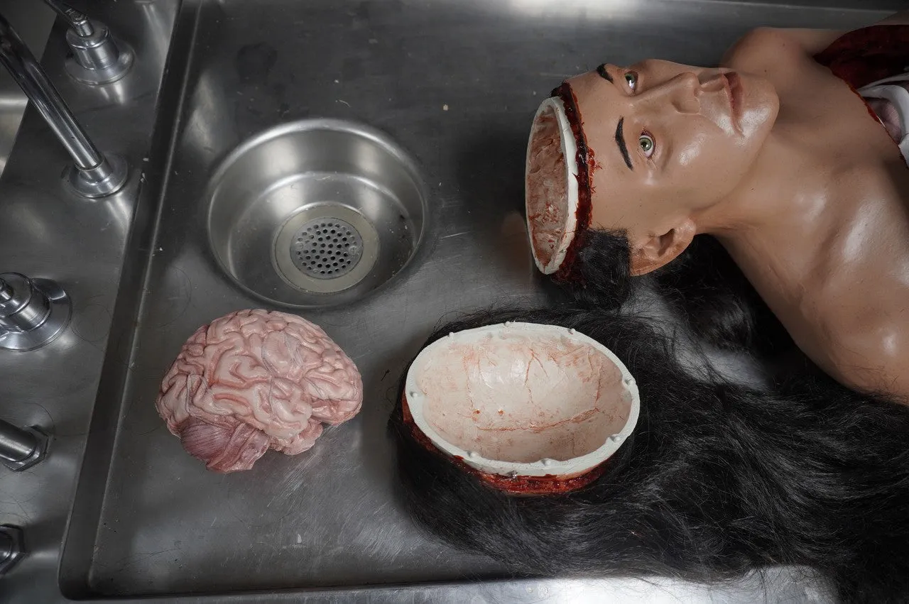 Autopsy Lucy with Removable Skull Cap and Brain