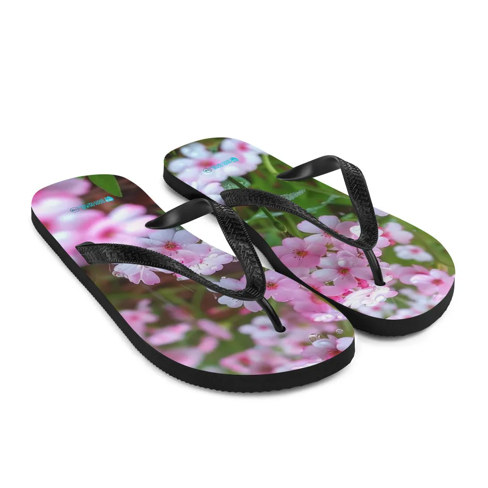 Flip-Flops