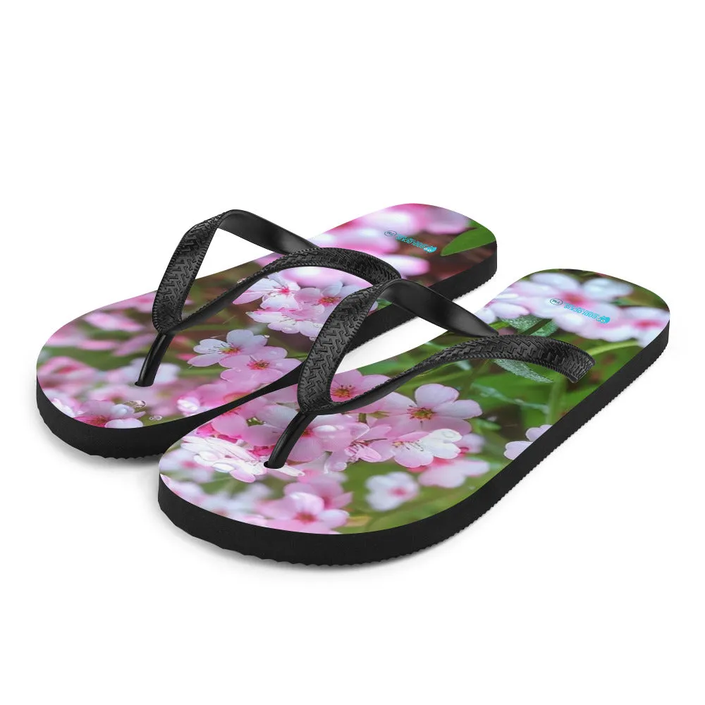 Flip-Flops