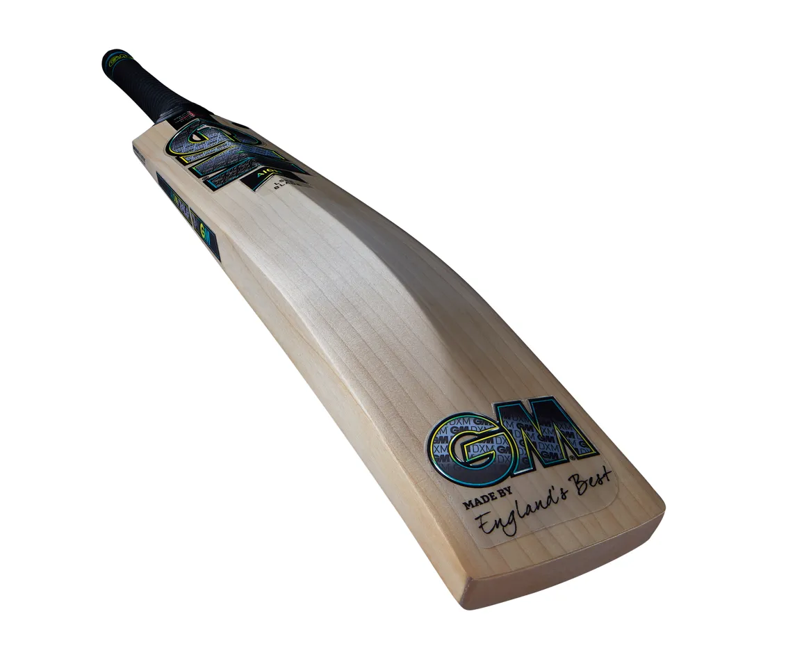 Gunn & Moore Aion Original LE Cricket Bat